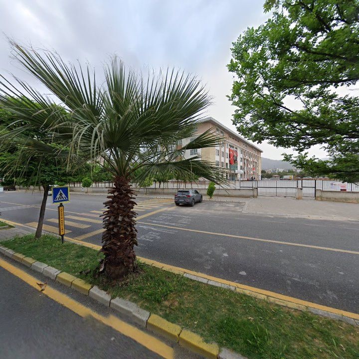 Fotoğraf 8