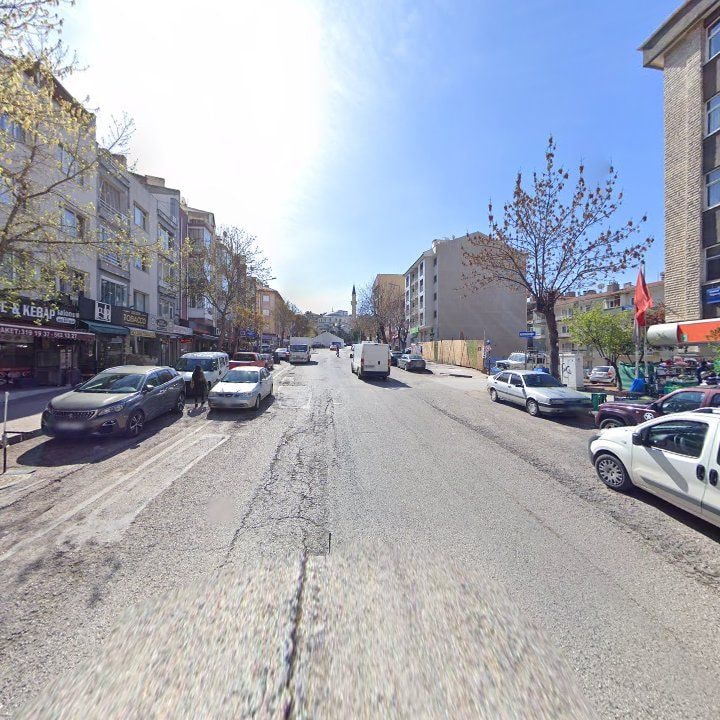 Fotoğraf 8