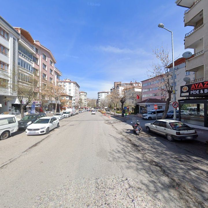 Fotoğraf 10