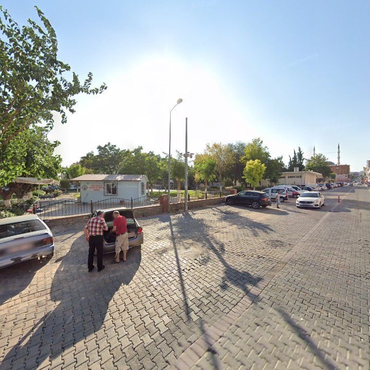 Fotoğraf 13