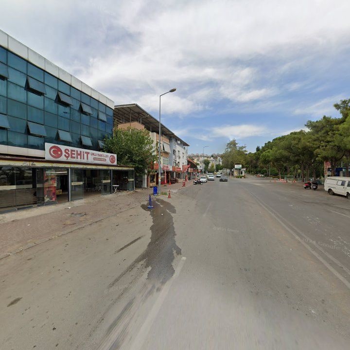 Fotoğraf 10
