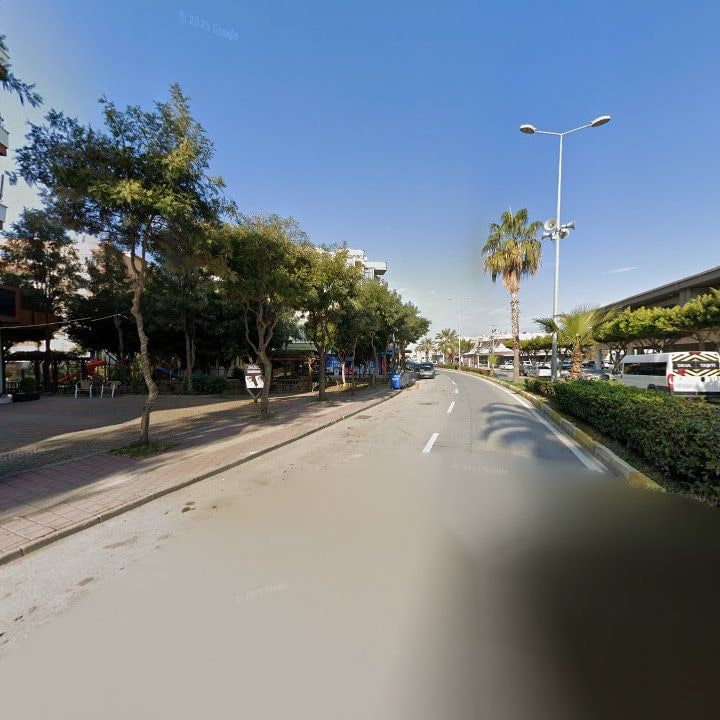 Fotoğraf 7