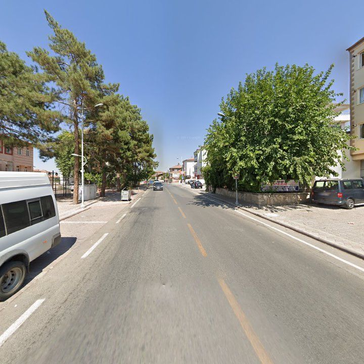 Fotoğraf 11