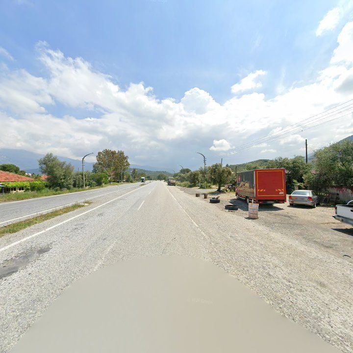 Fotoğraf 8