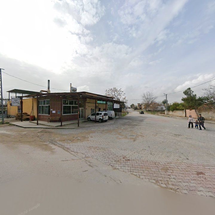 Fotoğraf 5