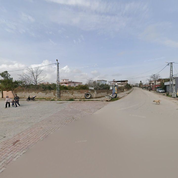 Fotoğraf 2