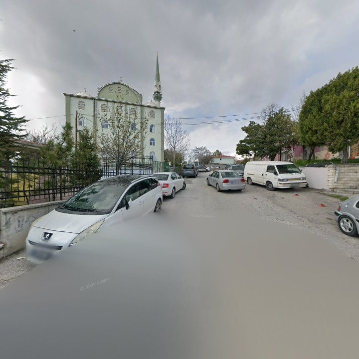 Fotoğraf 10