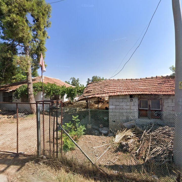 Fotoğraf 6