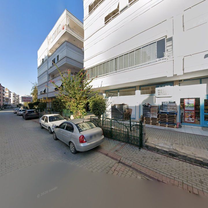 Fotoğraf 9