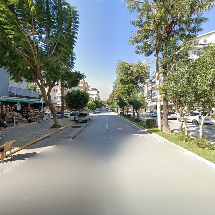 Fotoğraf 12