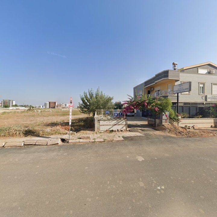 Fotoğraf 7