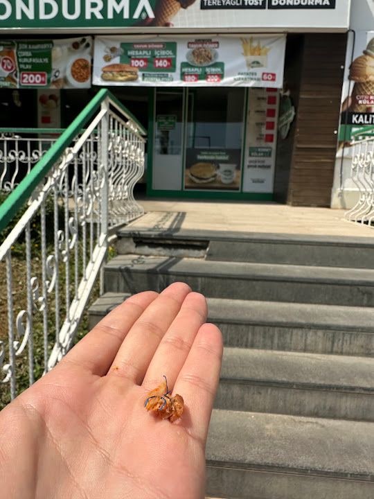 Fotoğraf 2