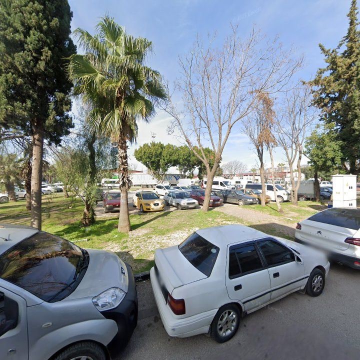 Fotoğraf 8