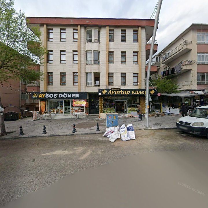 Fotoğraf 6