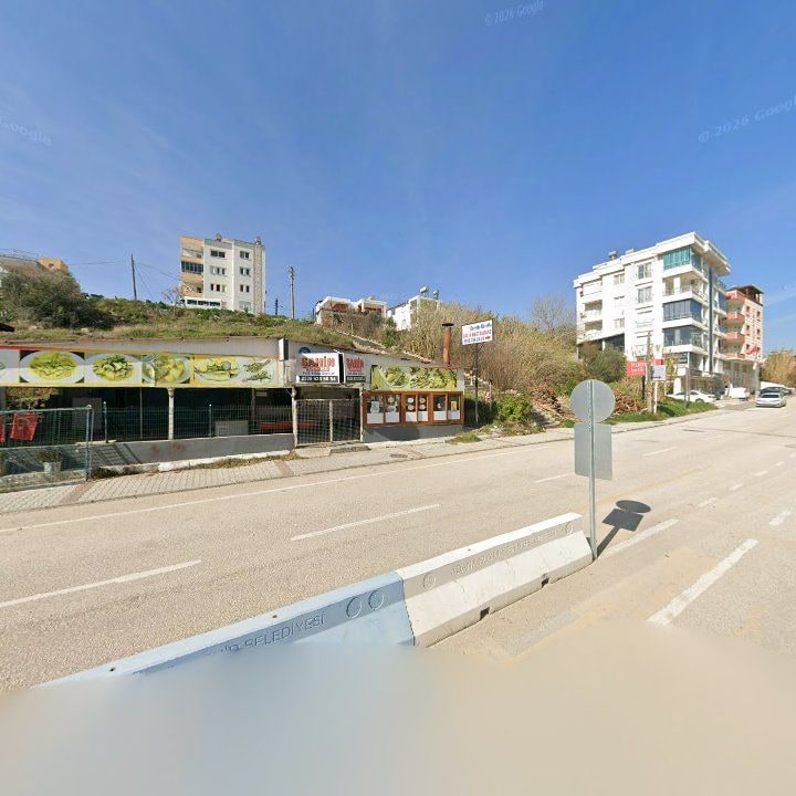 Fotoğraf 6