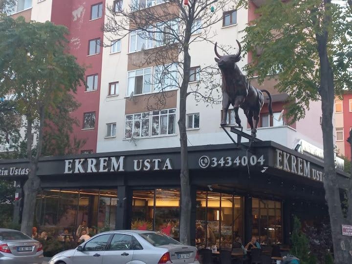 Fotoğraf 8