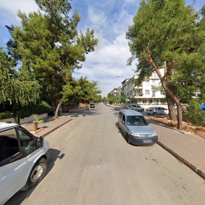 Fotoğraf 12