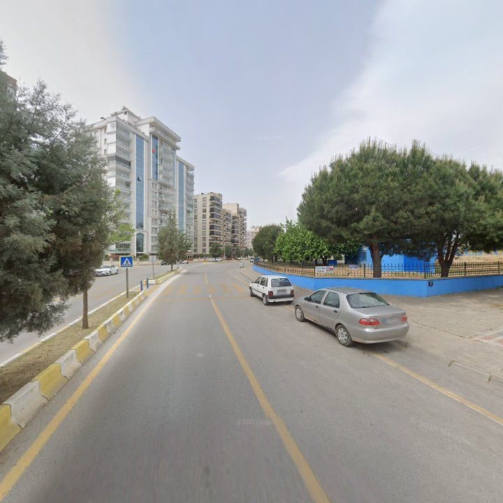 Fotoğraf 11