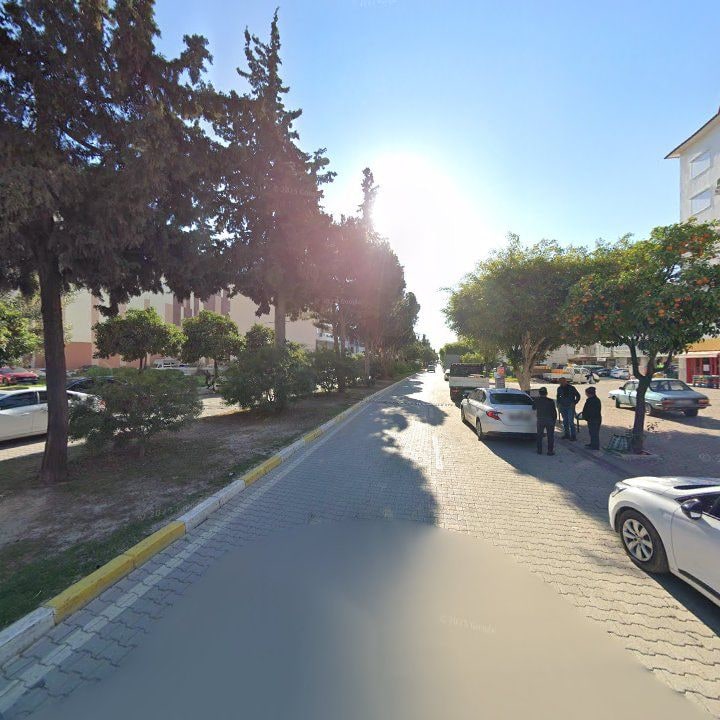 Fotoğraf 9