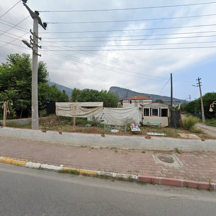 Fotoğraf 6