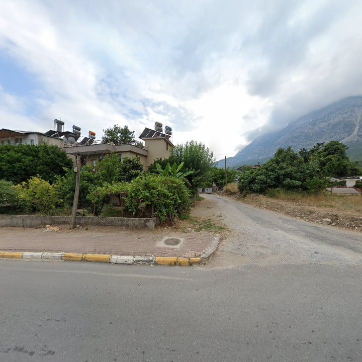 Fotoğraf 8
