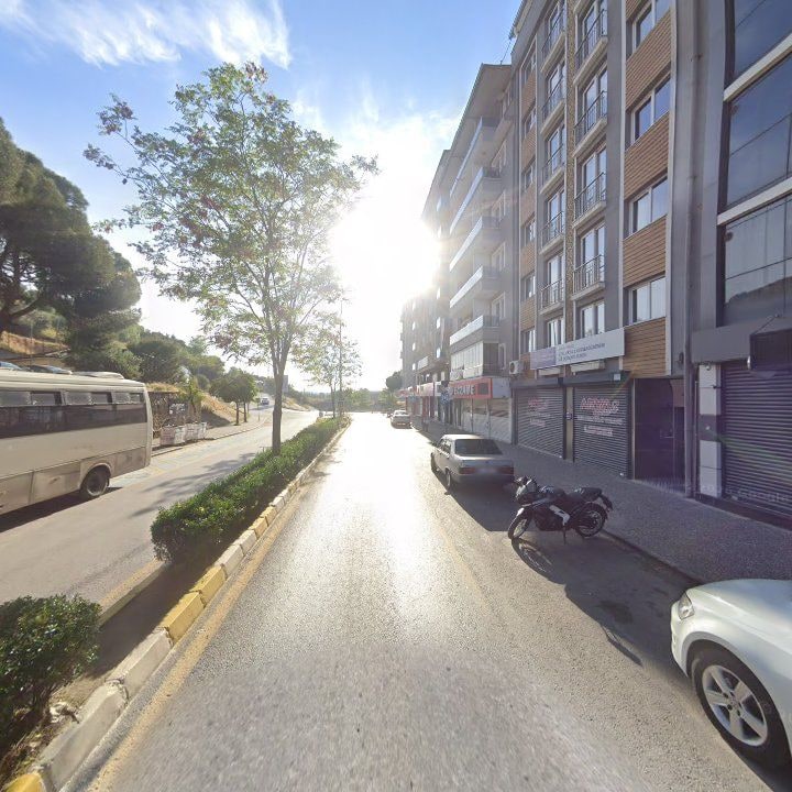 Fotoğraf 11