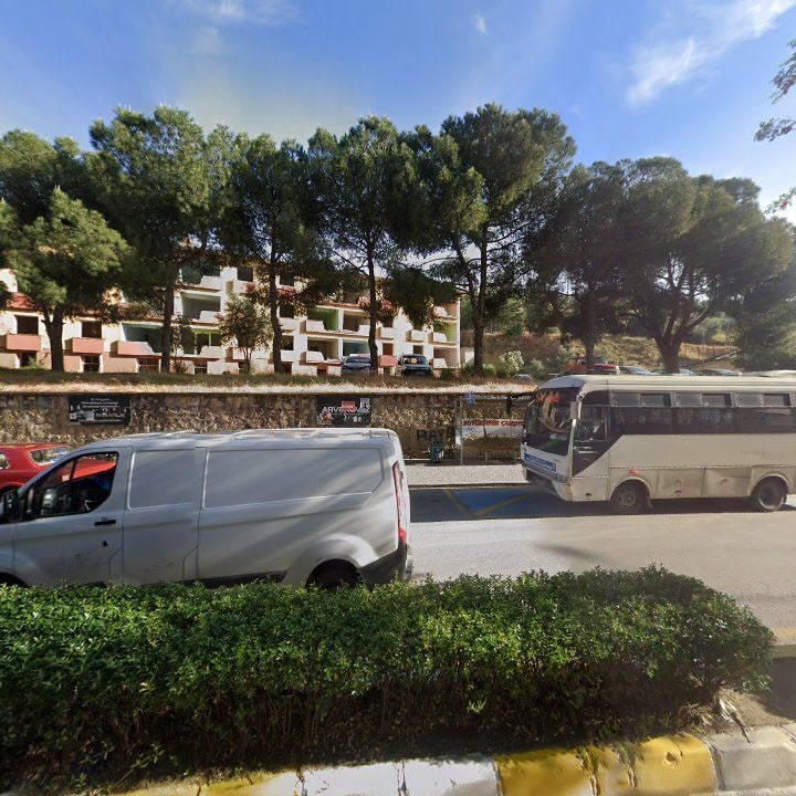 Fotoğraf 10