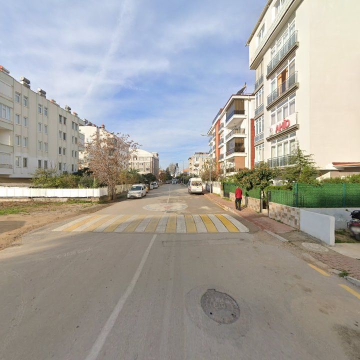 Fotoğraf 10