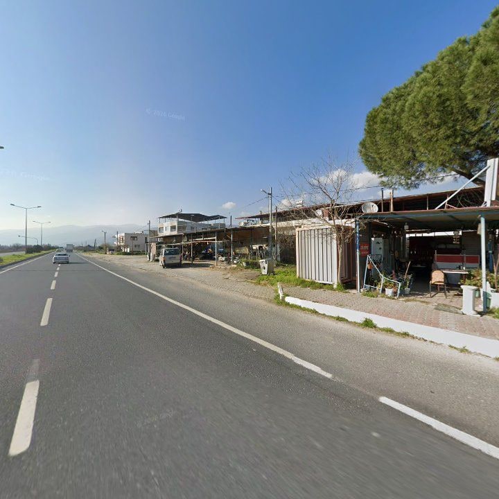 Fotoğraf 10