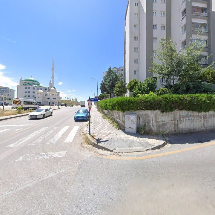 Fotoğraf 8