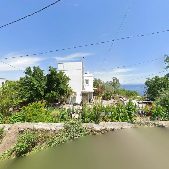 Fotoğraf 9