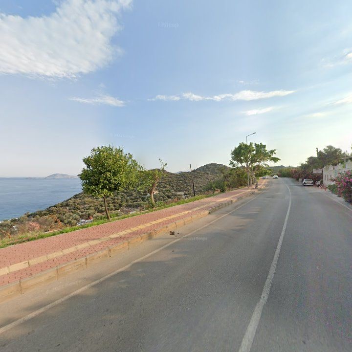 Fotoğraf 10