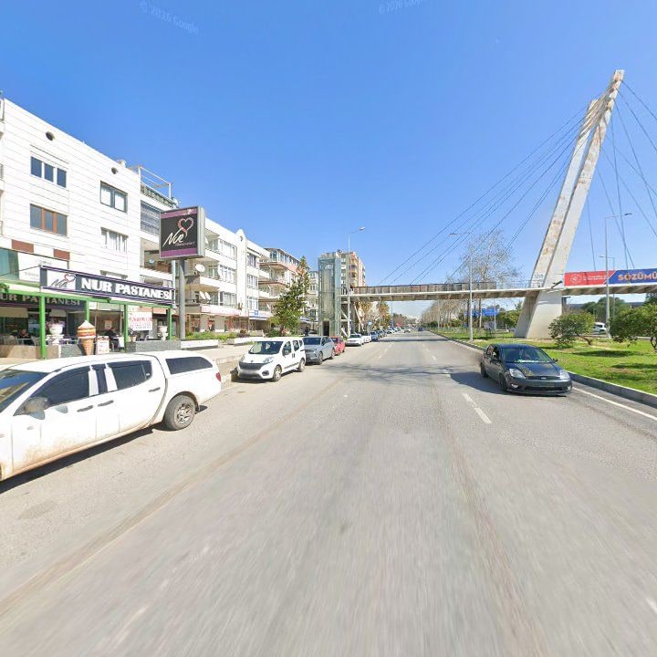 Fotoğraf 8