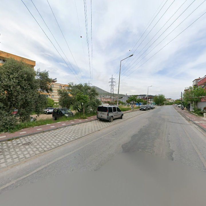 Fotoğraf 7