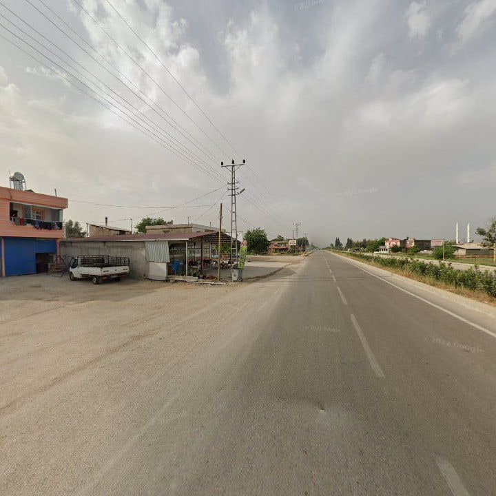Fotoğraf 7