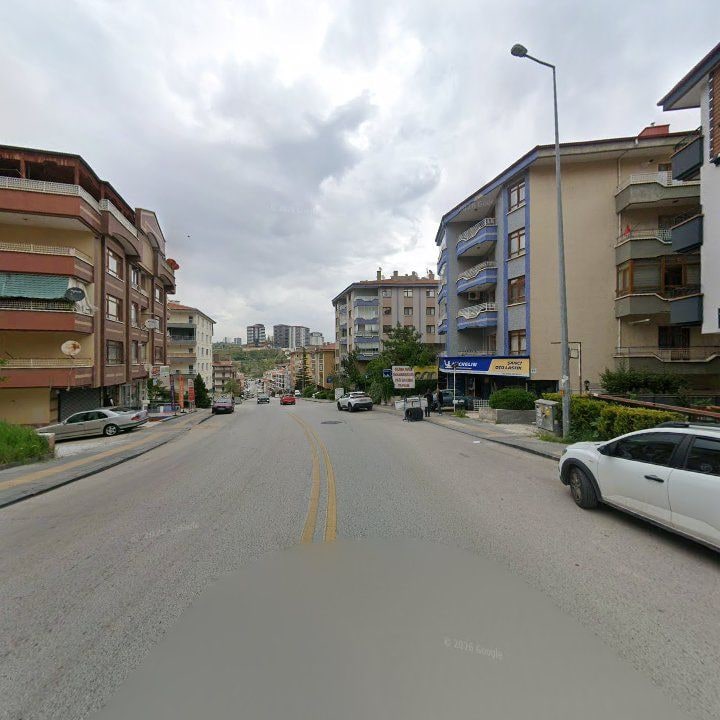 Fotoğraf 9