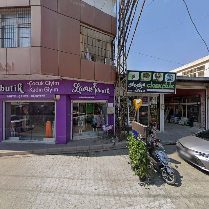 Fotoğraf 9