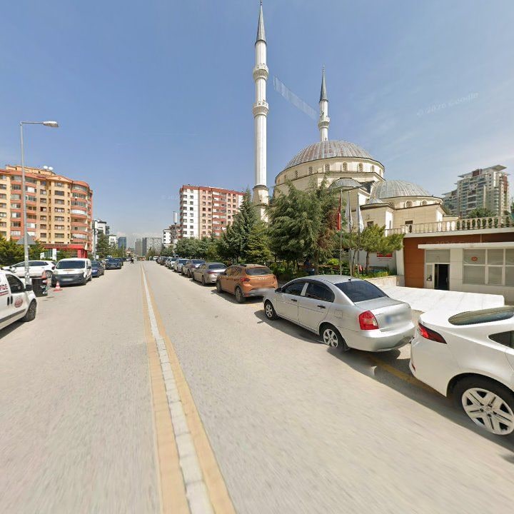 Fotoğraf 12