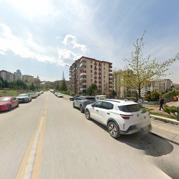 Fotoğraf 14