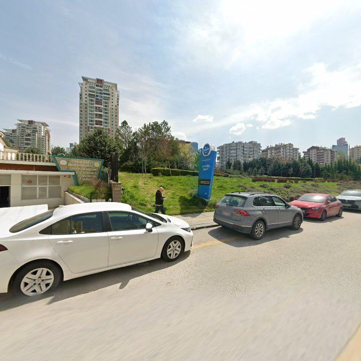 Fotoğraf 13