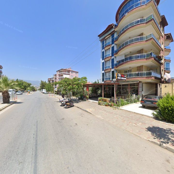 Fotoğraf 12