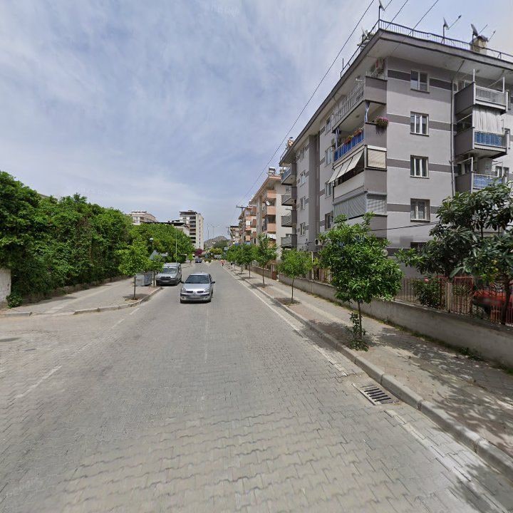 Fotoğraf 13