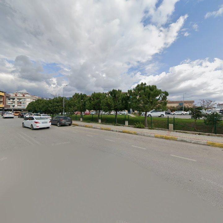 Fotoğraf 11