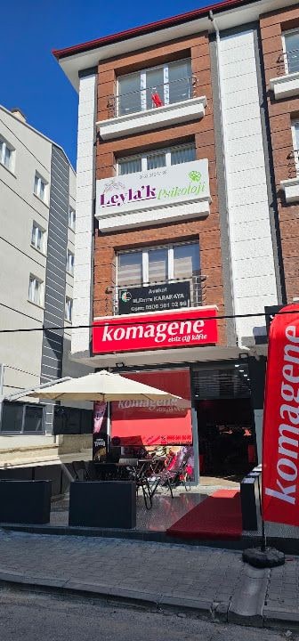 Elmadağ Komagene