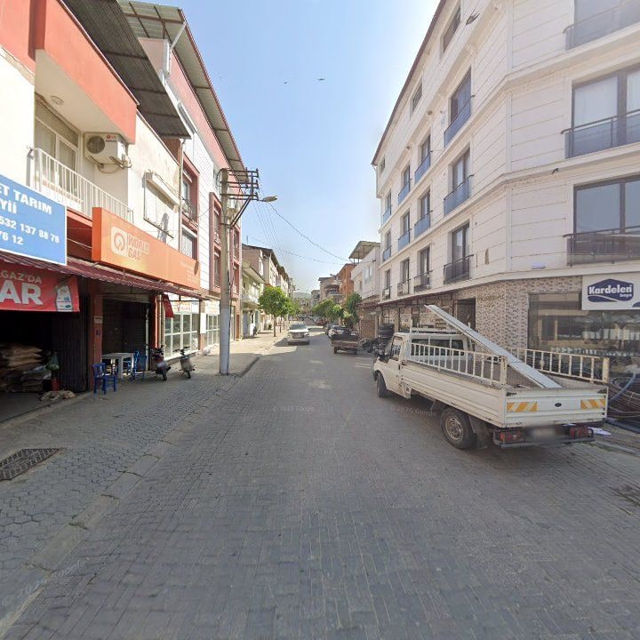 Fotoğraf 13