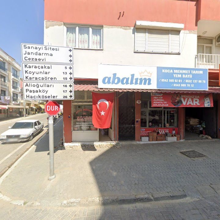 Fotoğraf 12