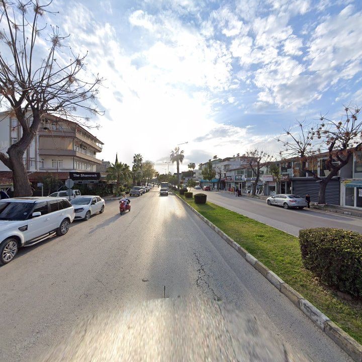 Fotoğraf 7