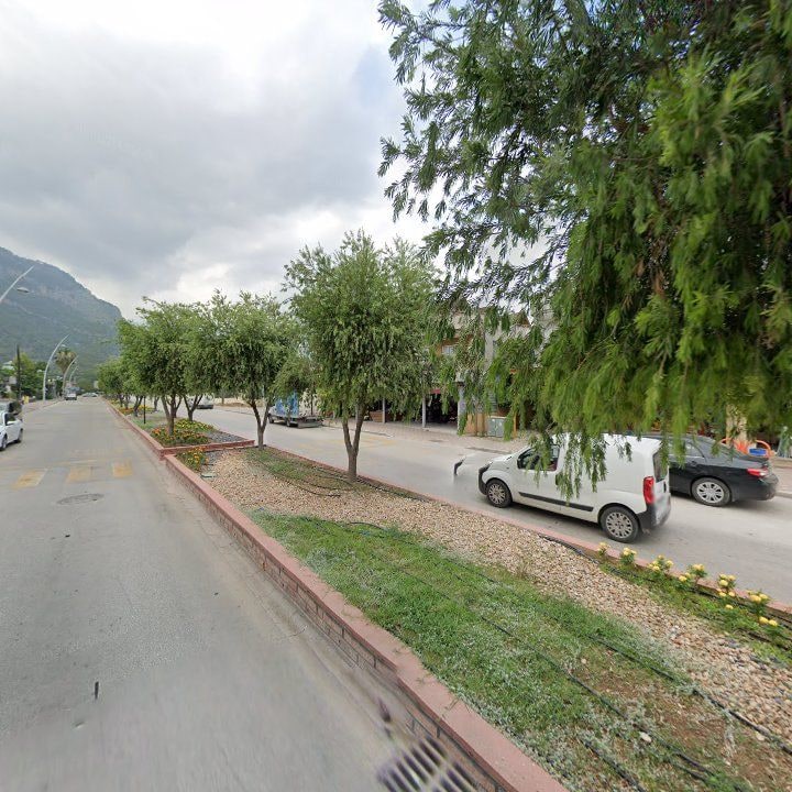 Fotoğraf 7