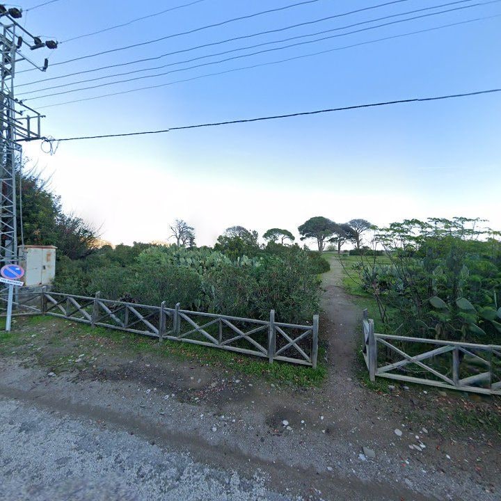 Fotoğraf 13
