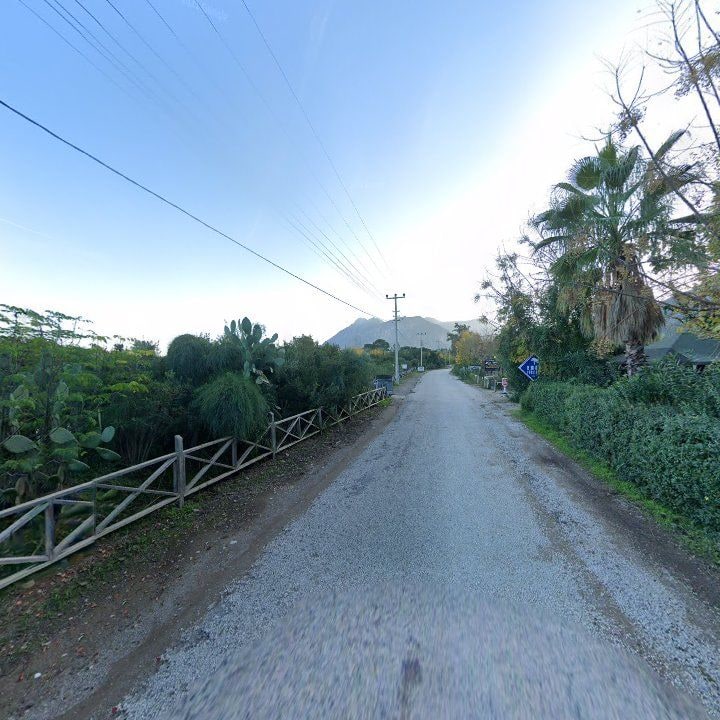 Fotoğraf 14